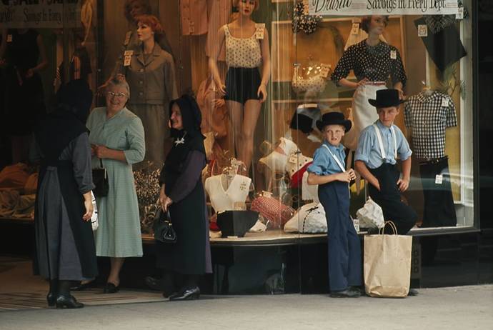 Nuova Guinea Rainy Forest Nuova Guinea Rainy Forest
