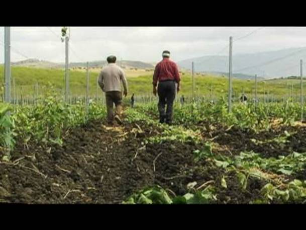 Un'altra Corleone, Un'altra Sicilia Trailer